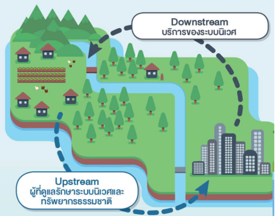 Downstream และ upstream ของระบบนิเวศ